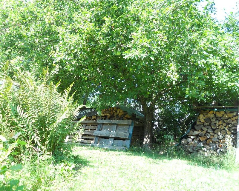 Milieux ligneux