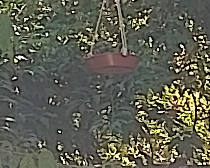 Accueil de la faune