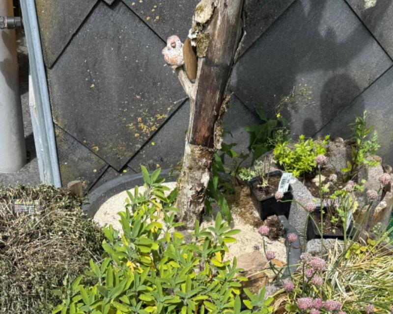 Accueil de la faune