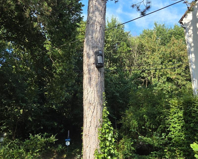 Accueil de la faune
