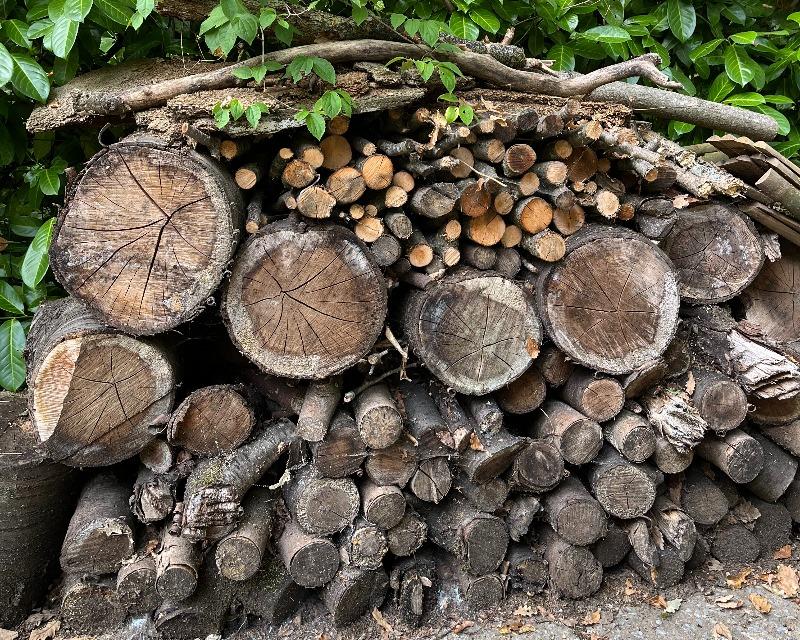 Accueil de la faune