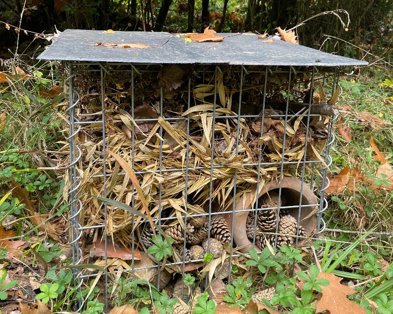Accueil de la faune