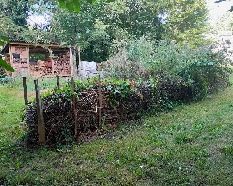 Milieux ligneux