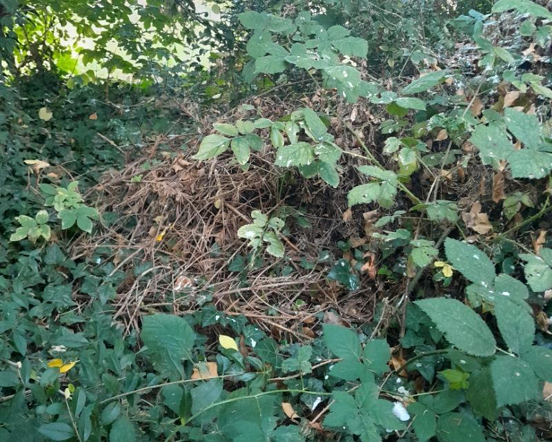 Accueil de la faune