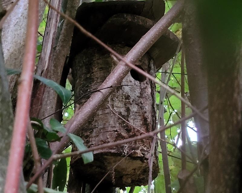 Accueil de la faune