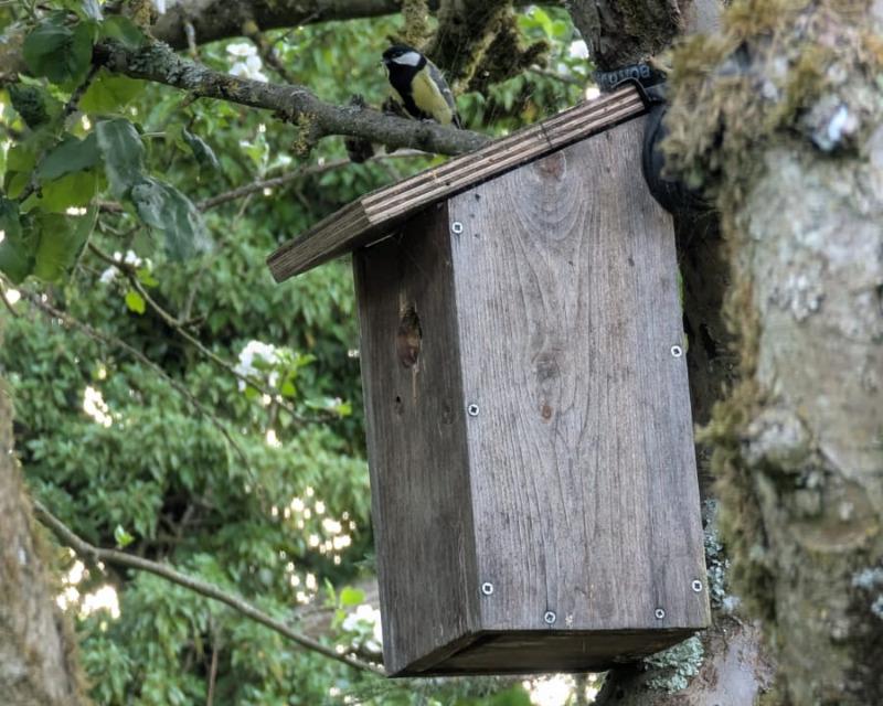 Accueil de la faune