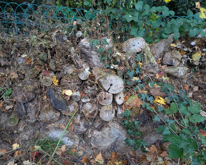 Accueil de la faune