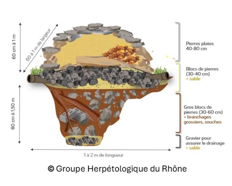 Accueil de la faune