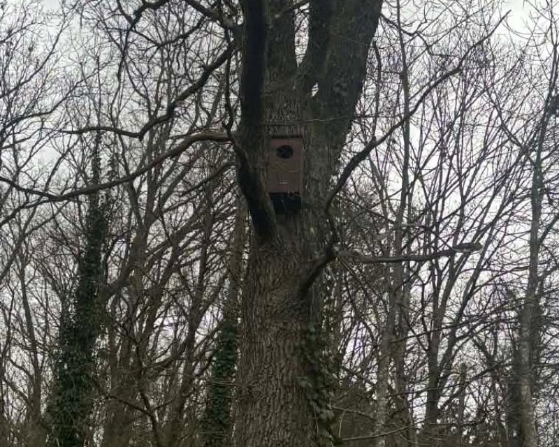 Accueil de la faune