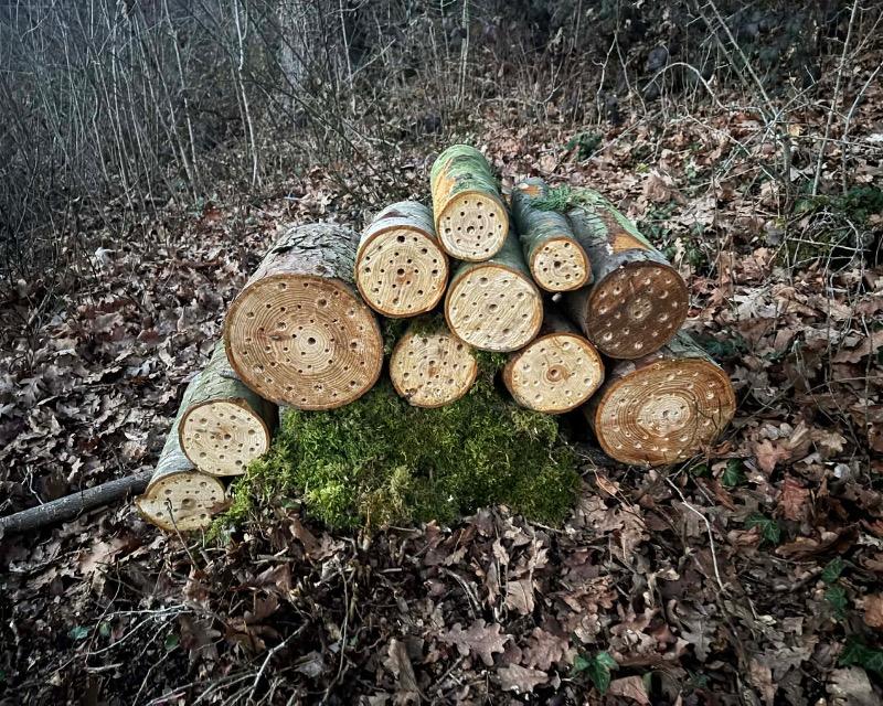 Accueil de la faune