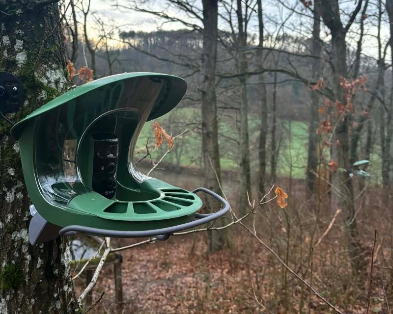 Accueil de la faune