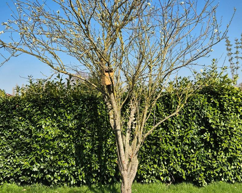 Accueil de la faune
