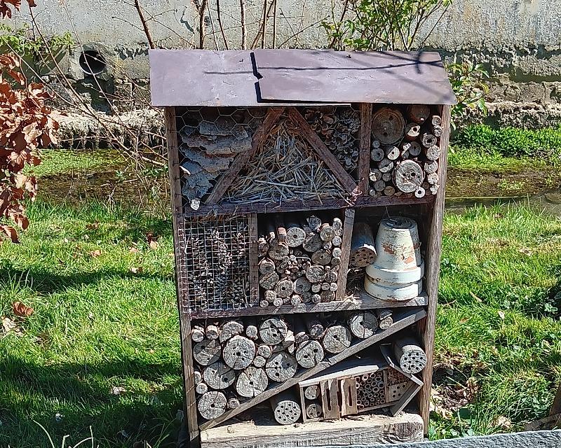 Accueil de la faune