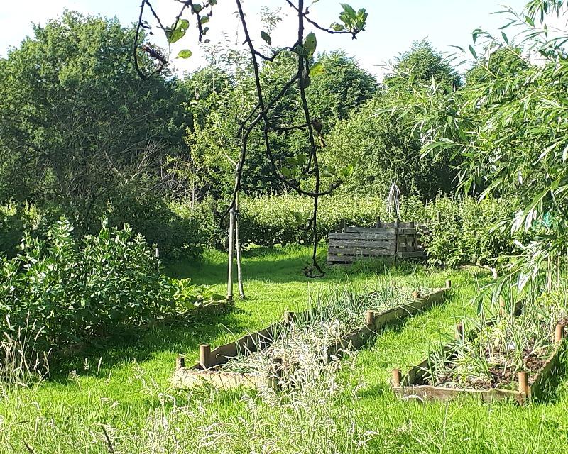 "Du Potager à l'assiette".