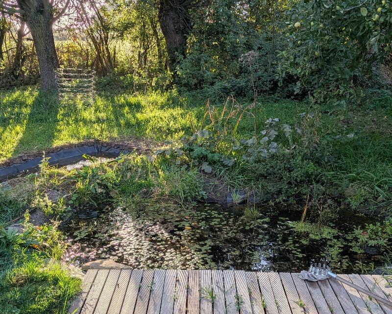 Milieux humides