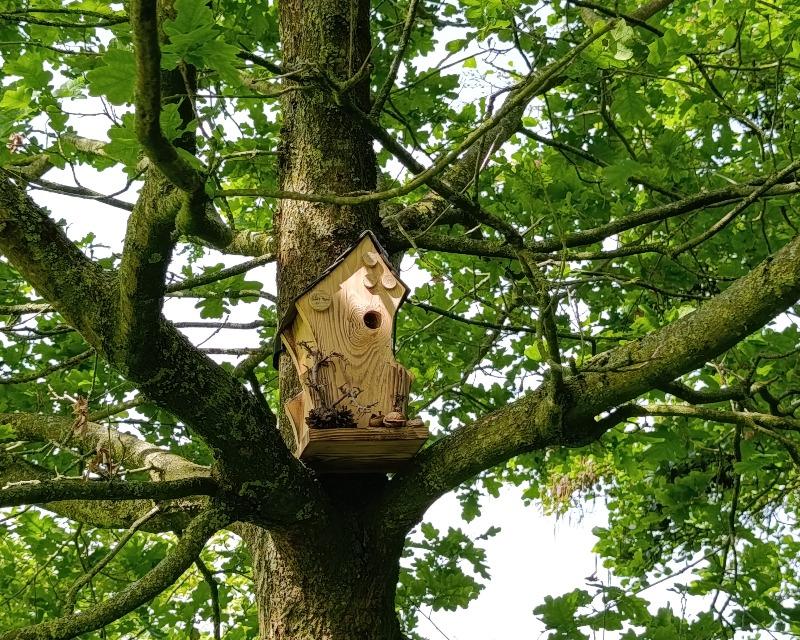 Accueil de la faune