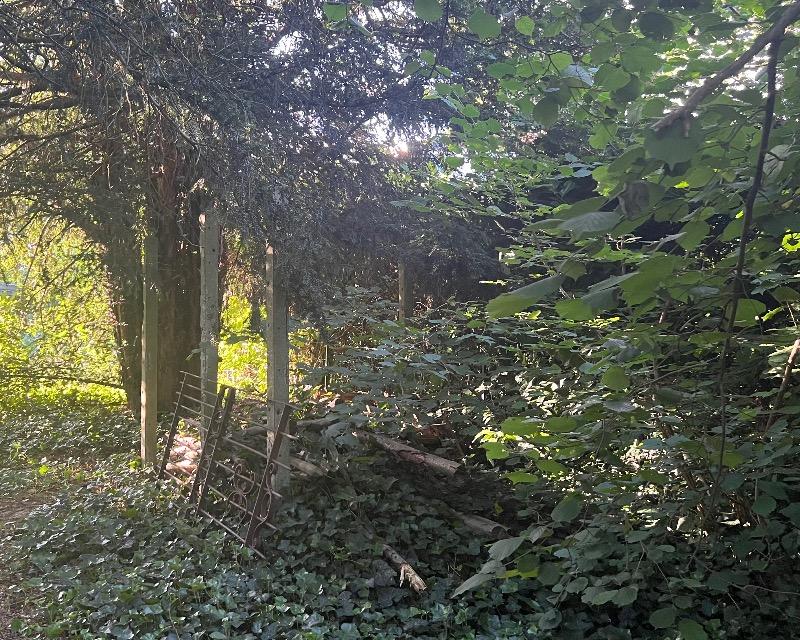 Accueil de la faune