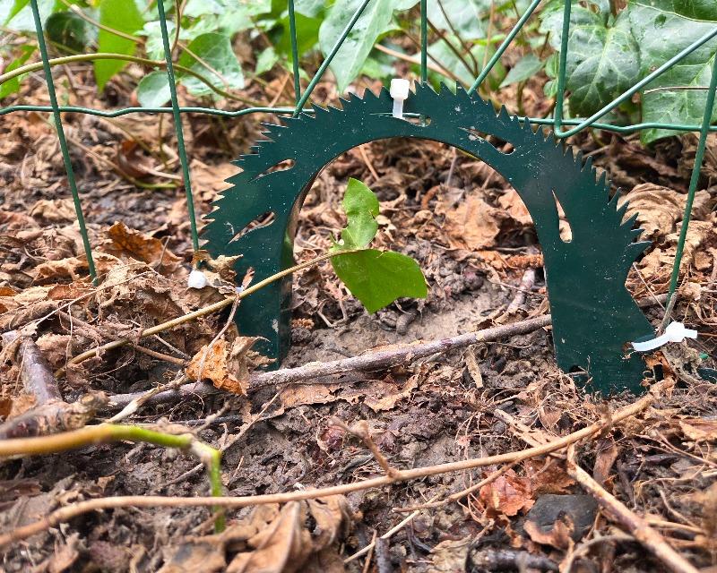Accueil de la faune