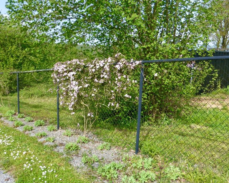 Milieux ligneux
