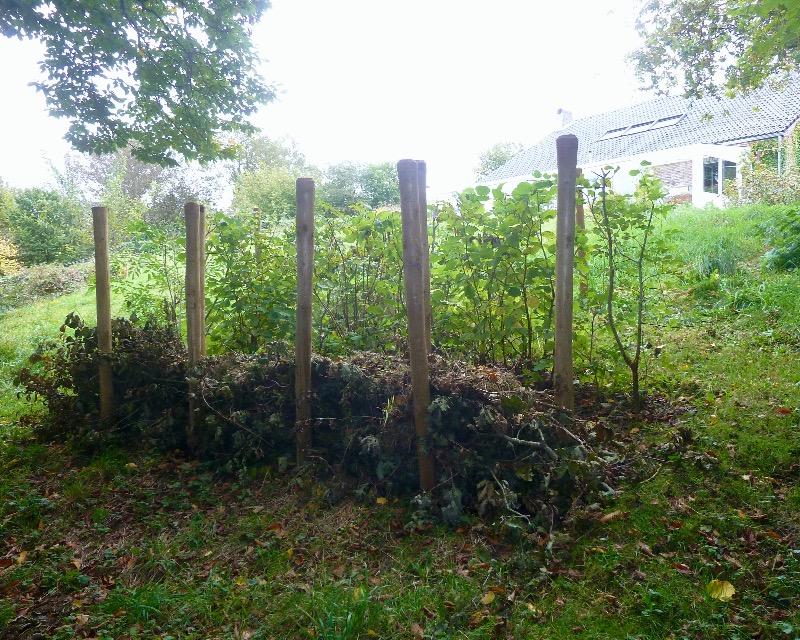 Milieux ligneux
