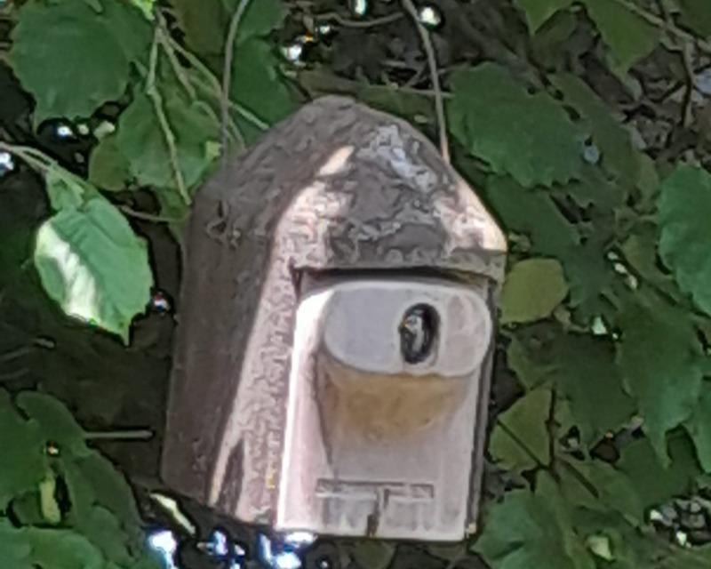 Accueil de la faune
