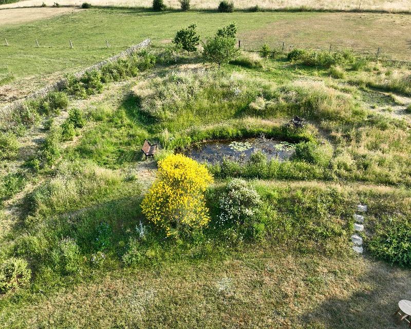 20250226_200820_nat-rn-terrain-128_photo_DJI_0036.jpg