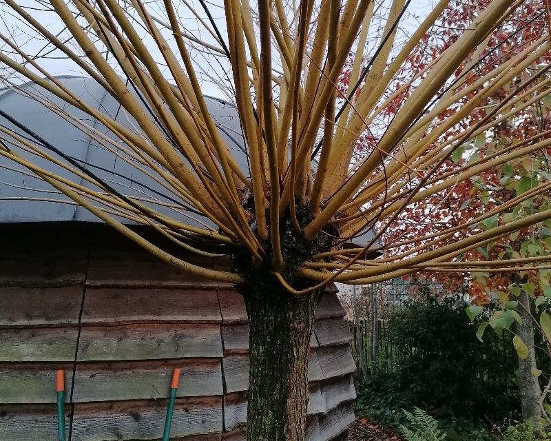 Milieux humides