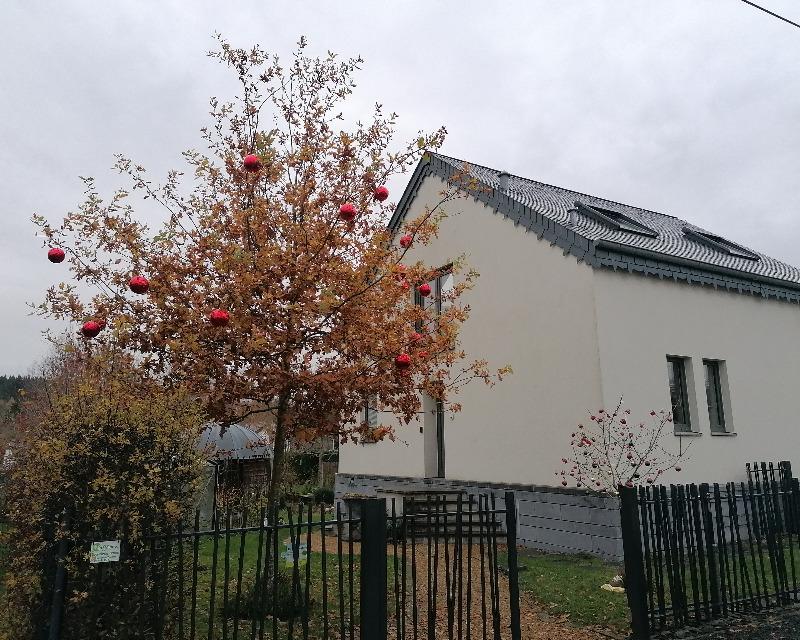 Milieux ligneux