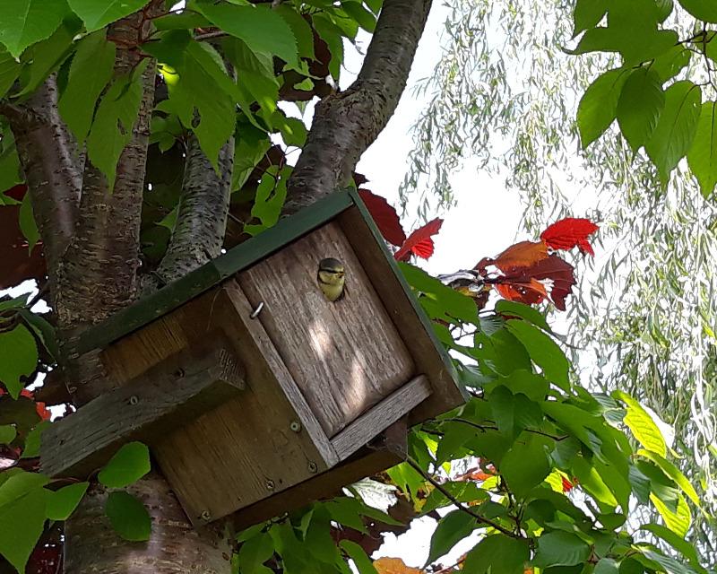 Accueil de la faune