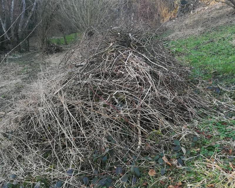 Accueil de la faune