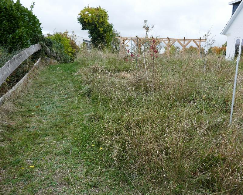 Milieux herbacés