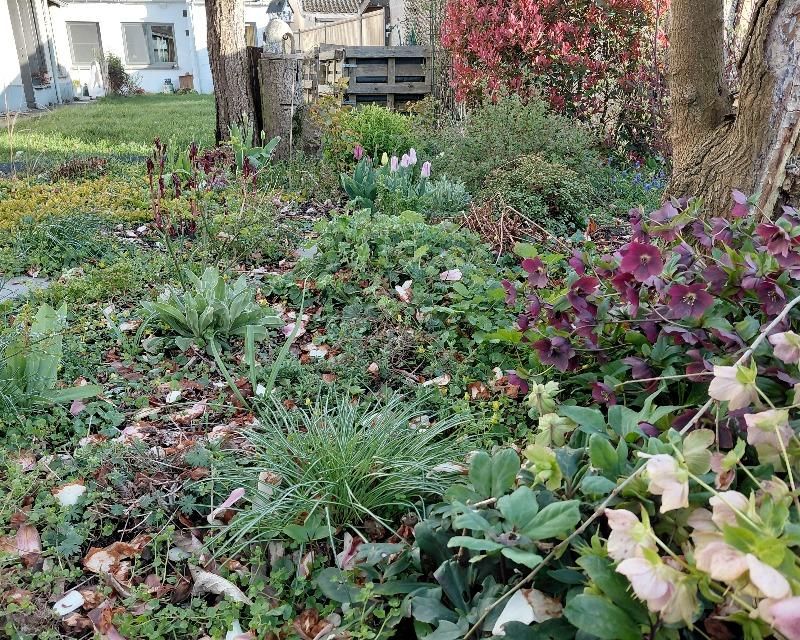 le printemps au jardin