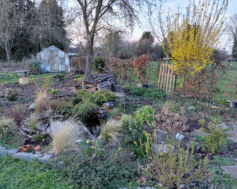 le printemps au jardin (suite)