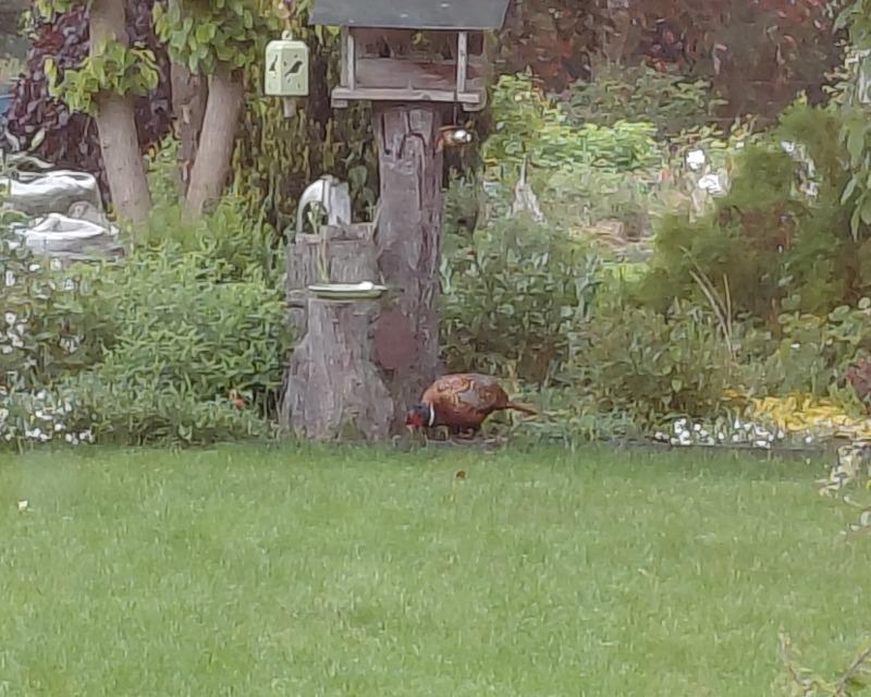 Visite surprise