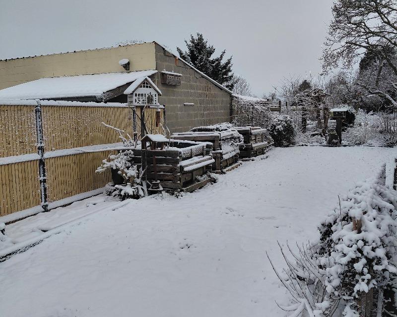 Accueil de la faune