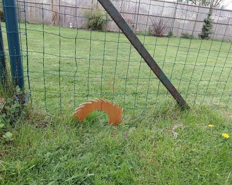 Accueil de la faune