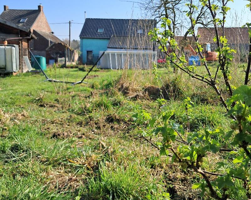Milieux ligneux