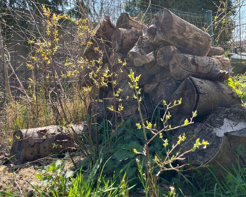Accueil de la faune