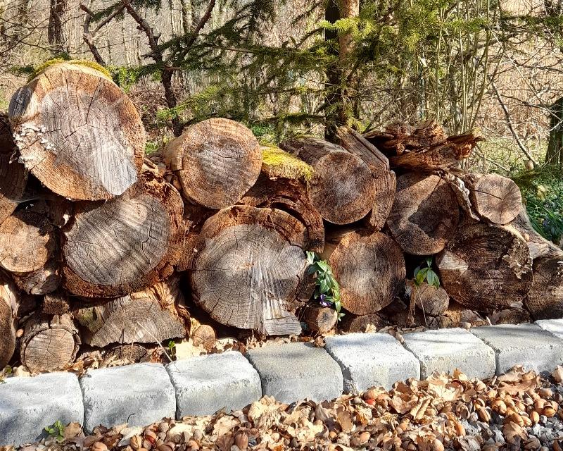 Accueil de la faune