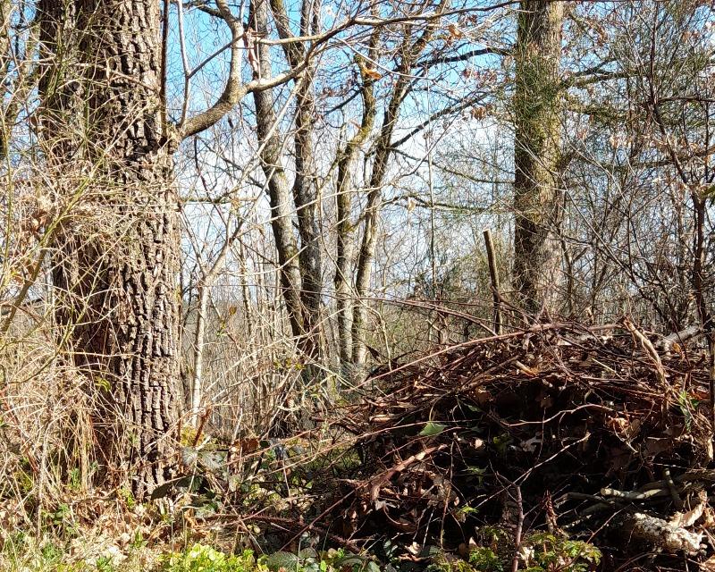 Accueil de la faune