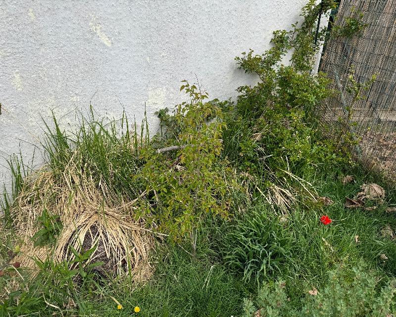 Accueil de la faune