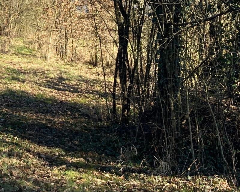 Accueil de la faune
