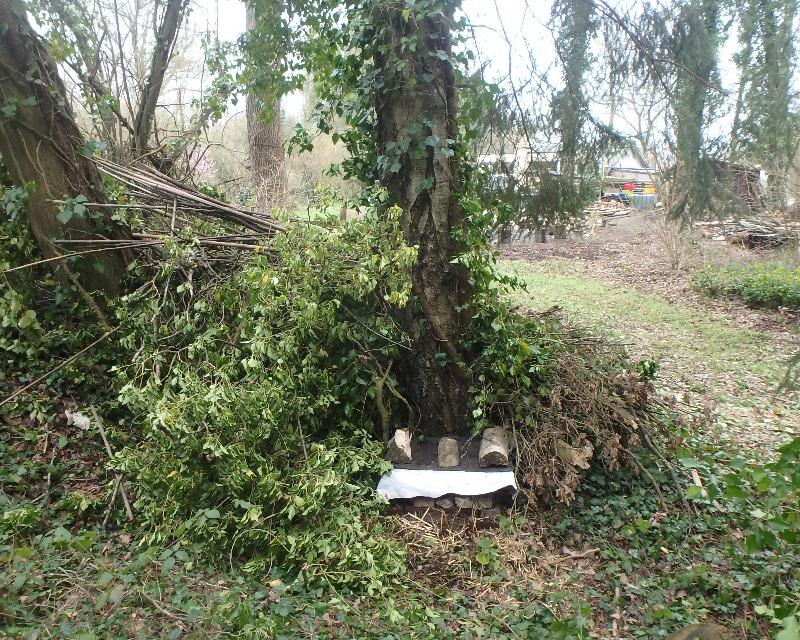 Accueil de la faune