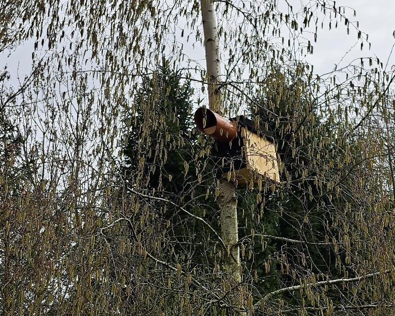 Accueil de la faune