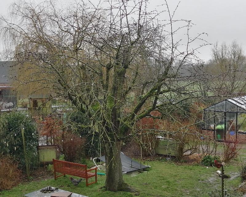 Milieux ligneux