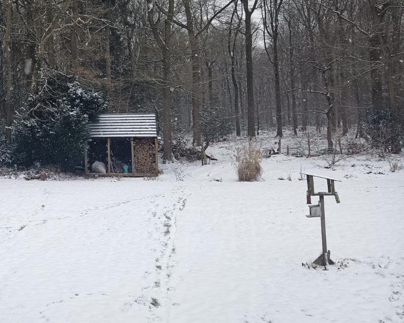 Accueil de la faune