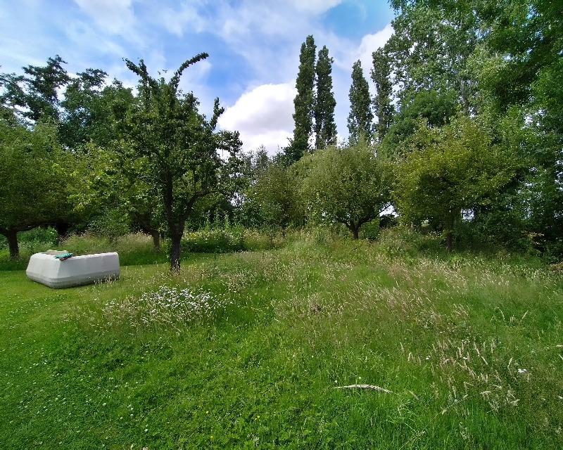Milieux ligneux