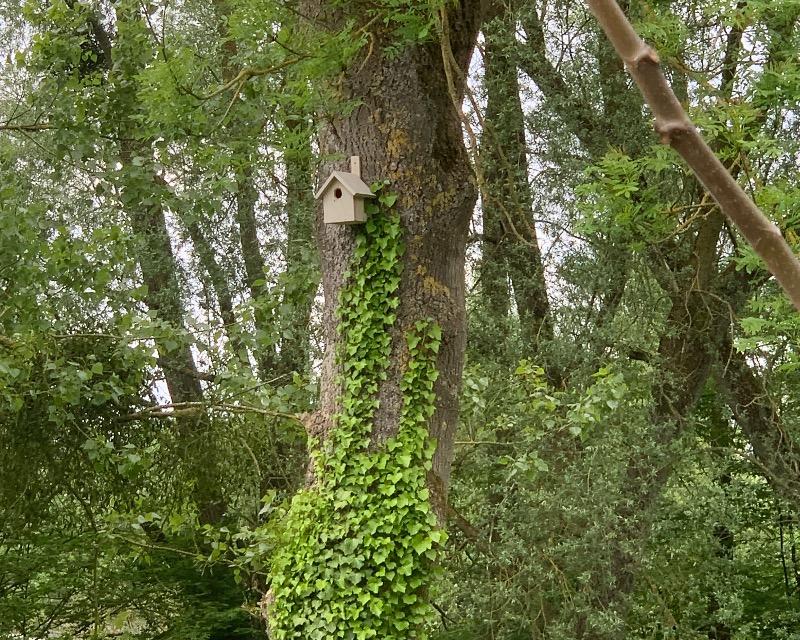 Accueil de la faune
