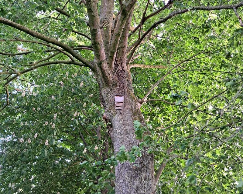 Accueil de la faune