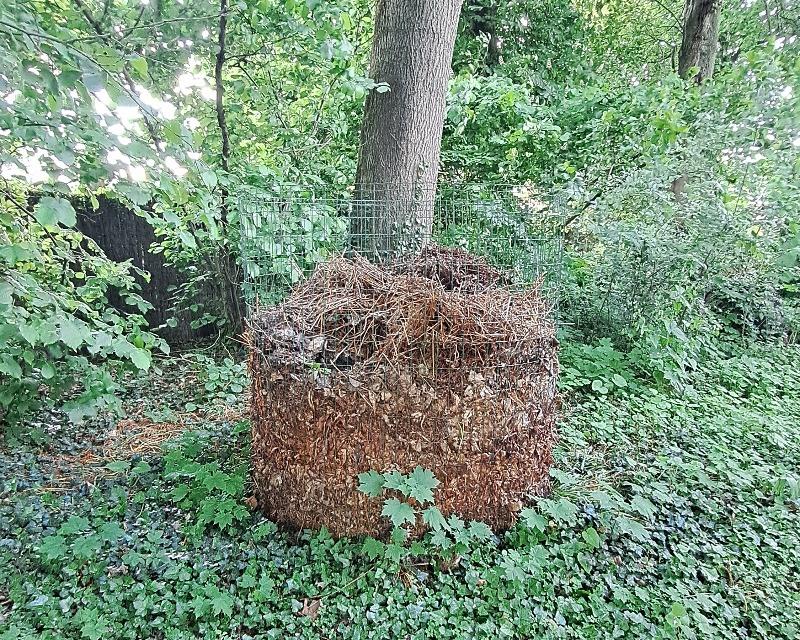 Accueil de la faune
